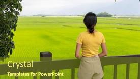  Presentation with rice field - PPT theme with travel-woman-visit-taitung-rice background and a tawny brown colored foreground