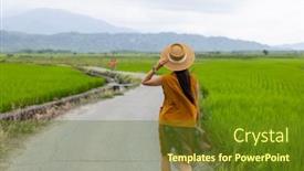  Presentation with rice paddy - Presentation theme with travel-woman-visit-the-rice background and a  colored foreground