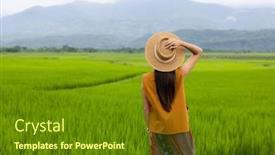  Presentation with rice paddy - Presentation enhanced with travel-woman-visit-the-rice background and a tawny brown colored foreground