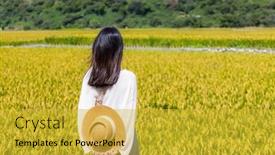  Presentation with rice field - Slide set enhanced with travel-woman-visit-the-rice background and a yellow colored foreground
