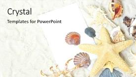  Presentation with fossils petrified fossil shells - Beautiful theme featuring travel writing - shells an blank postcard backdrop and a  colored foreground