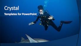  Presentation with shark - Presentation design enhanced with woman diver being scary background and a ocean colored foreground