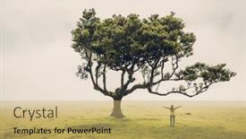  Presentation with power - Presentation featuring traveller-woman-feeling-the-power background and a yellow colored foreground