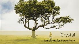  Presentation with power - Presentation theme featuring traveller-woman-feeling-the-power background and a yellow colored foreground