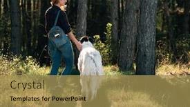  Presentation with forest - Slide deck consisting of traveller-woman-with-her-dog background and a gold colored foreground