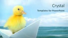  Presentation with duck - Cool new presentation theme with travelling by origami paper boat backdrop and a cool aqua colored foreground