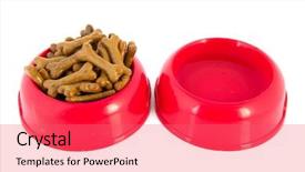  Presentation with dog food - Slide set with tray with dog food bone background and a  colored foreground