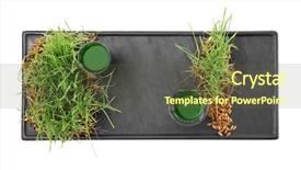  Presentation with shots - Audience pleasing PPT layouts consisting of tray with shots of healthy backdrop and a tawny brown colored foreground