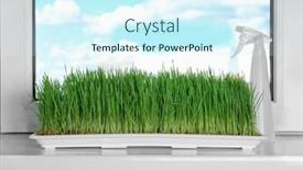  Presentation with wheat - PPT layouts with tray-with-wheat-grass background and a cool aqua colored foreground