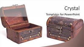  Presentation with treasure chest - Cool new PPT layouts with beautiful european persian cat playful a puppy backdrop and a gray colored foreground