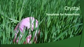  Presentation with hidden - Presentation theme enhanced with treasure hunt - hidden easter egg background and a forest green colored foreground