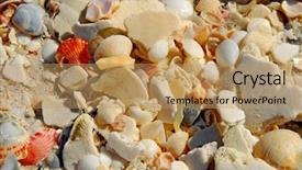  Presentation with shells beach summer holiday - Presentation theme enhanced with treasure hunt - shells on beach background and a coral colored foreground