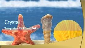  Presentation with treasure - Theme having treasure islands - beach still-life background and a  colored foreground