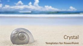  Presentation with sea shell - Slide set consisting of treasure islands - beautiful perfectly shaped sea shell background and a lemonade colored foreground