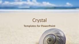  Presentation with sea shell - PPT theme consisting of treasure islands - beautiful perfectly shaped sea shell background and a lemonade colored foreground