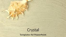  Presentation with treasure - PPT theme enhanced with treasure islands - sea food background and a soft green colored foreground