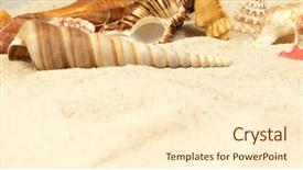  Presentation with treasure - PPT theme with treasure islands - sea shells on sand background and a  colored foreground