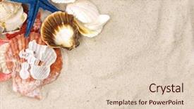  Presentation with treasure - Amazing PPT theme having treasure islands - sea shells backdrop and a  colored foreground