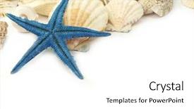 Presentation with treasure - Theme enhanced with treasure islands - sea shells background and a white colored foreground