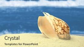  Presentation with treasure - Amazing slide deck having treasure islands - shell on beach backdrop and a blonde colored foreground