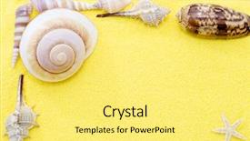  Presentation with starfish - Amazing theme having treasure islands - starfish and seashells frame backdrop and a  colored foreground