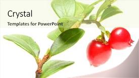  Presentation with diabetes mellitus - Colorful presentation design enhanced with treat breast cancer diabetes mellitus backdrop and a blonde colored foreground