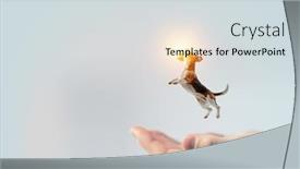  Presentation with media - Beautiful PPT layouts featuring treat-them-with-care-mixed backdrop and a light gray colored foreground