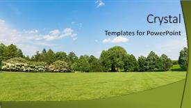  Presentation with meadow - Audience pleasing slides consisting of tree - fresh meadow landscape backdrop and a light blue colored foreground