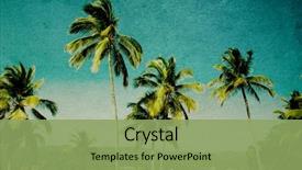  Presentation with tropical beach party - Colorful slide set enhanced with tree - grunge image of tropical beach backdrop and a seafoam green colored foreground