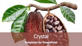  Presentation with seeds - Amazing PPT layouts having tree - open cocoa pod with cocoa backdrop and a tawny brown colored foreground