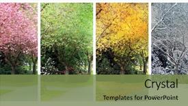  Presentation with four seasons - Colorful PPT layouts enhanced with tree - spring summer fall and winter backdrop and a tawny brown colored foreground