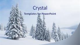  Presentation with winter landscape winter tree - Colorful slide set enhanced with tree - winter landscape with a spruce backdrop and a sky blue colored foreground