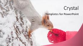  Presentation with red chinese winter festival - PPT theme enhanced with tree against a snowy forest background and a white colored foreground