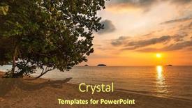  Presentation with tropical beach sunset - Beautiful PPT theme featuring tree-against-the-sunset backdrop and a tawny brown colored foreground