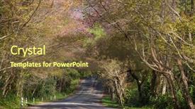  Presentation with joshua tree national park - PPT theme having tree along the beautiful road background and a tawny brown colored foreground