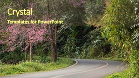  Presentation with joshua tree national park - Amazing presentation design having tree along the beautiful road backdrop and a  colored foreground