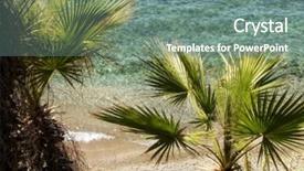  Presentation with ocean clear water deep blue - Colorful presentation design enhanced with tree and clear blue water backdrop and a gray colored foreground