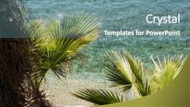  Presentation with ocean clear water deep blue - Colorful presentation design enhanced with tree and clear blue water backdrop and a seafoam green colored foreground