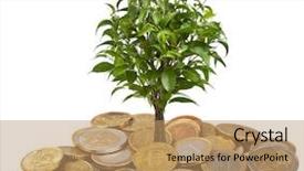  Presentation with money tree - Presentation enhanced with tree and coins isolated background and a coral colored foreground