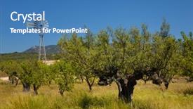  Presentation with tree farm - Presentation theme having tree and farm wind mill background and a  colored foreground