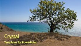  Presentation with big tree - Beautiful presentation design featuring tree and shadow near seashore backdrop and a tawny brown colored foreground
