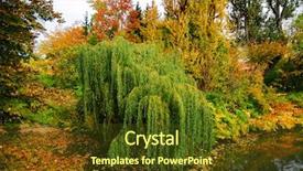  Presentation with willow tree - Theme enhanced with willow tree and small pond background and a tawny brown colored foreground