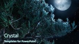  Presentation with stars moon - Beautiful PPT theme featuring tree and the moon backdrop and a  colored foreground