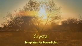  Presentation with african sunset - Cool new PPT theme with tree-at-sunset backdrop and a tawny brown colored foreground