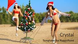  Presentation with christmas tree - Colorful slides enhanced with tree at the tropical beach backdrop and a  colored foreground