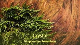  Presentation with abstract green forest - Presentation design enhanced with tree bark - abstract forest image background and a tawny brown colored foreground