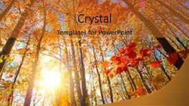  Presentation with autumn blue - Slide deck featuring tree bark - autumn forest with sunlight background and a gold colored foreground