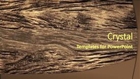  Presentation with tree - Colorful slide set enhanced with tree bark backdrop and a tawny brown colored foreground