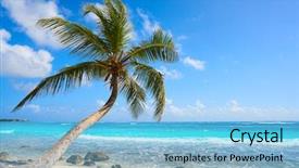  Presentation with coconut palm tree - Presentation theme enhanced with tree beach in riviera maya background and a light blue colored foreground