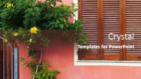  Presentation with tree - Slide deck with tree-blooming-with-ryellow-flowers background and a tawny brown colored foreground